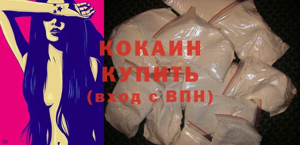 ПСИЛОЦИБИНОВЫЕ ГРИБЫ Бородино