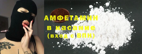 ПСИЛОЦИБИНОВЫЕ ГРИБЫ Бородино