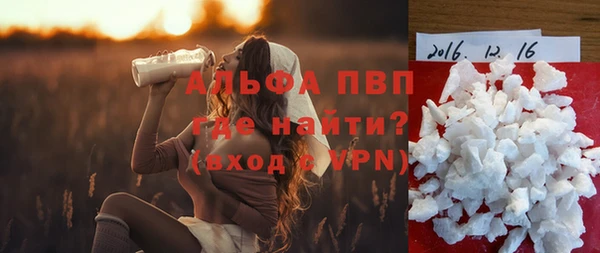 ПСИЛОЦИБИНОВЫЕ ГРИБЫ Бородино