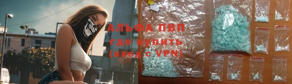 ПСИЛОЦИБИНОВЫЕ ГРИБЫ Бородино