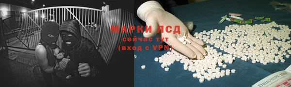 соль ск Богданович