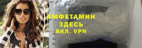 ПСИЛОЦИБИНОВЫЕ ГРИБЫ Бородино