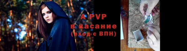 ПСИЛОЦИБИНОВЫЕ ГРИБЫ Бородино