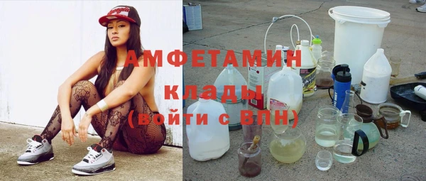 ПСИЛОЦИБИНОВЫЕ ГРИБЫ Бородино