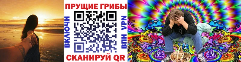 Псилоцибиновые грибы мицелий  ссылка на мегу маркетплейс  Кировск  где можно купить наркотик 